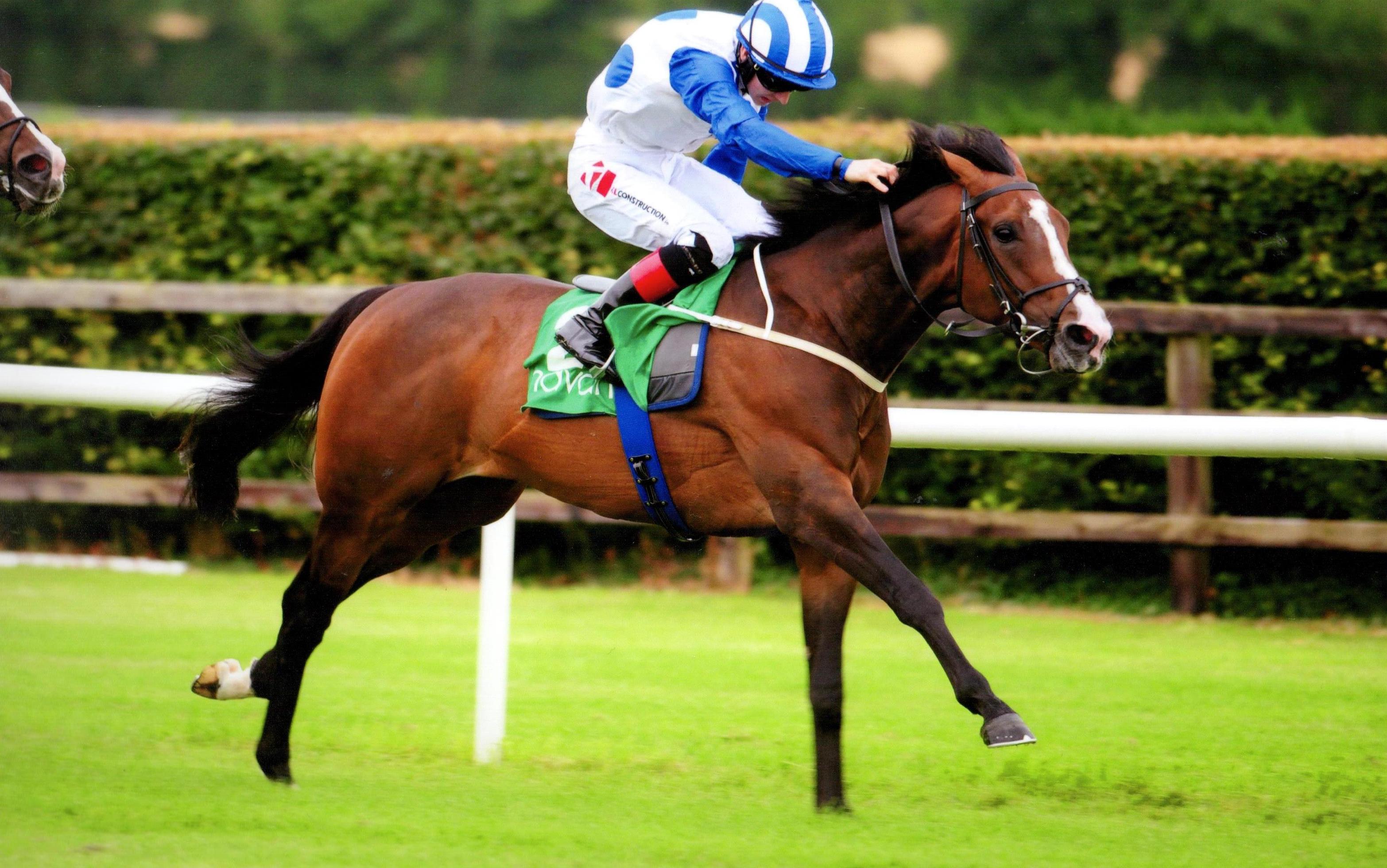 BUFFALO BLUES ridden to victory by Colin Keane at Navan 14th July 2017